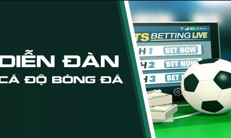 C&aacute;ch b&agrave;o cỏ miễn ph&iacute; l&agrave; thu thập th&ocirc;ng tin về c&aacute;c chương tr&igrave;nh khuyến m&atilde;i