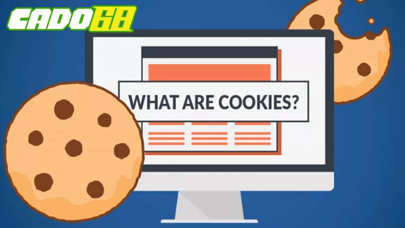 Kh&ocirc;ng lưu trữ cookies của kh&aacute;ch h&agrave;ng