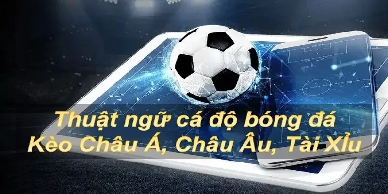 Thuật ngữ c&aacute; độ b&oacute;ng đ&aacute; ng&agrave;y c&agrave;ng đa dạng tr&ecirc;n thị trường